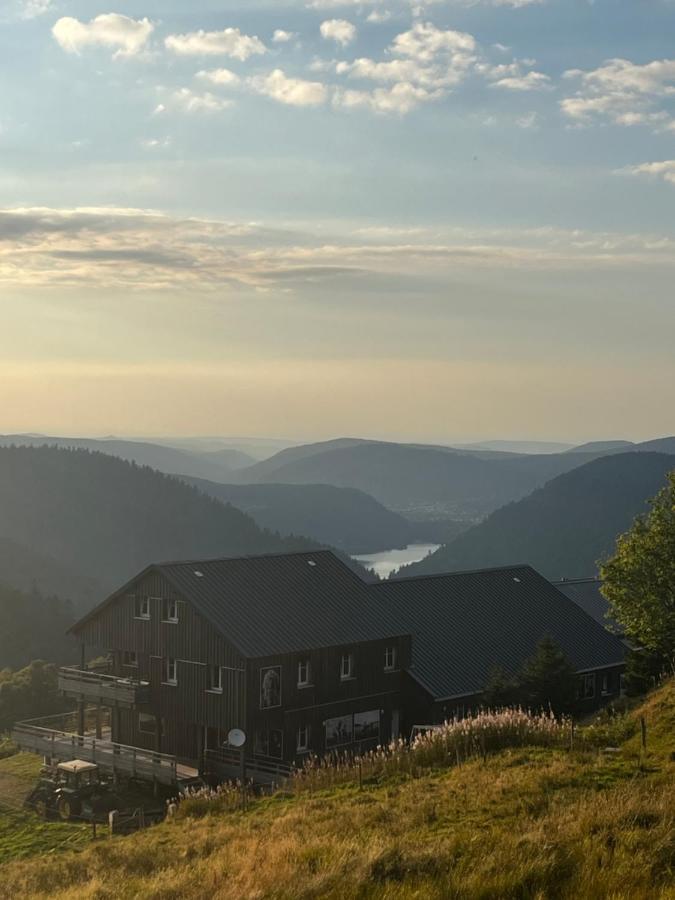 Le Chalet De La Folie Corcieux 外观 照片